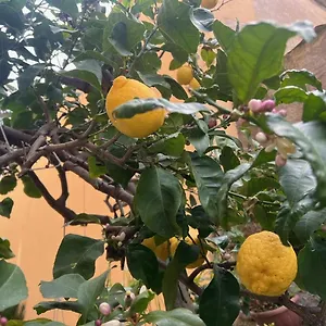 Vicino Al Mare Appartamento Moneglia
